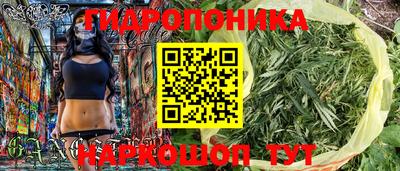 гидропоника Гусев