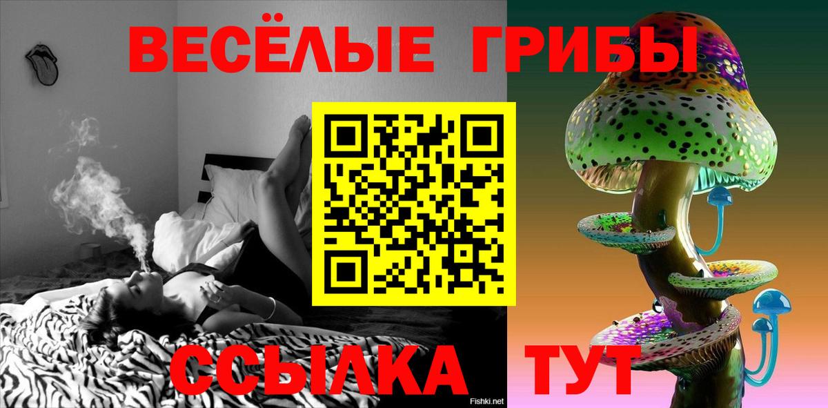 Псилоцибиновые грибы мухоморы Мичуринск