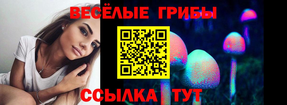 Псилоцибиновые грибы Cubensis  Вход с VPN  Мичуринск 